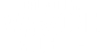 COD WARZONE MOBILE 320